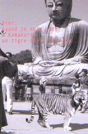 223.gif